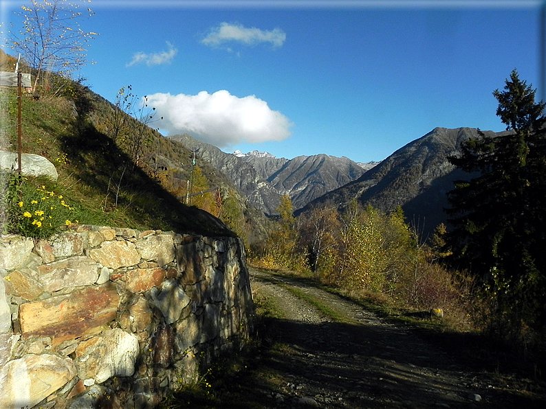 foto Salita all'Alpe Prial